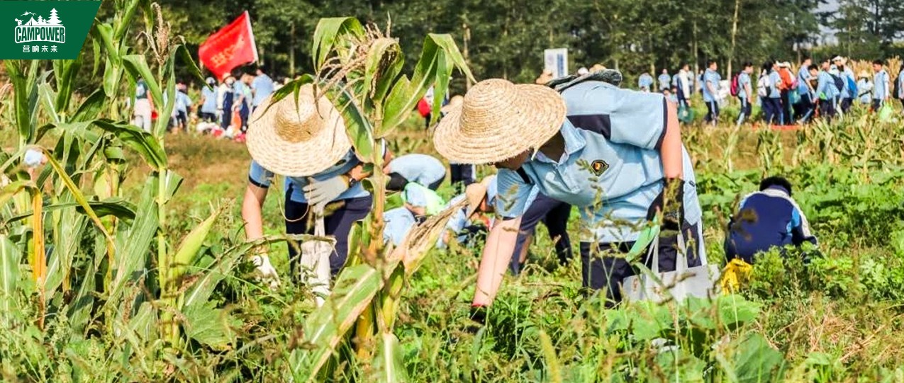 山西營響未來教育科技有限公司